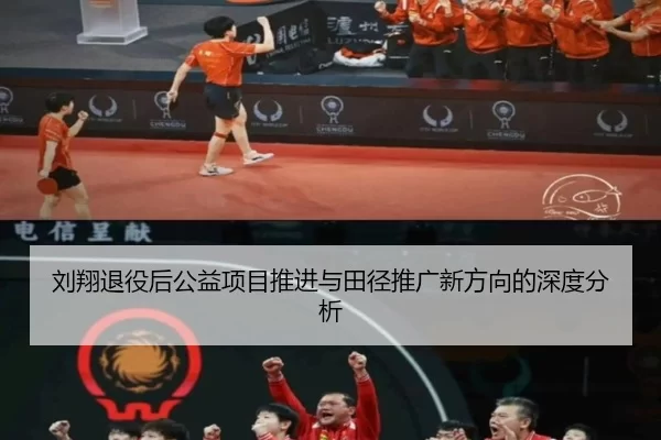 刘翔退役后公益项目推进与田径推广新方向的深度分析